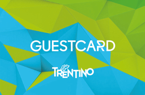 FiemmE-motion Guest Card