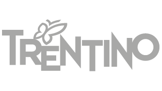 Logo Regione Trentino