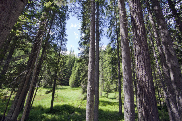 Bildergalerie Hotel Alpino Varena