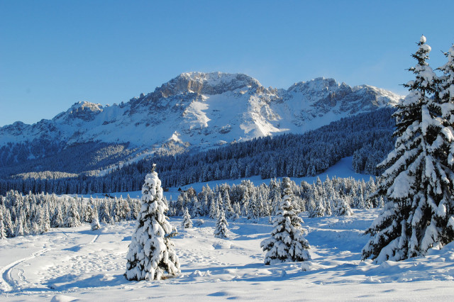 Galleria Hotel Alpino Varena