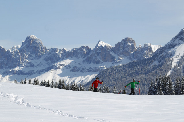 Galleria Hotel Alpino Varena